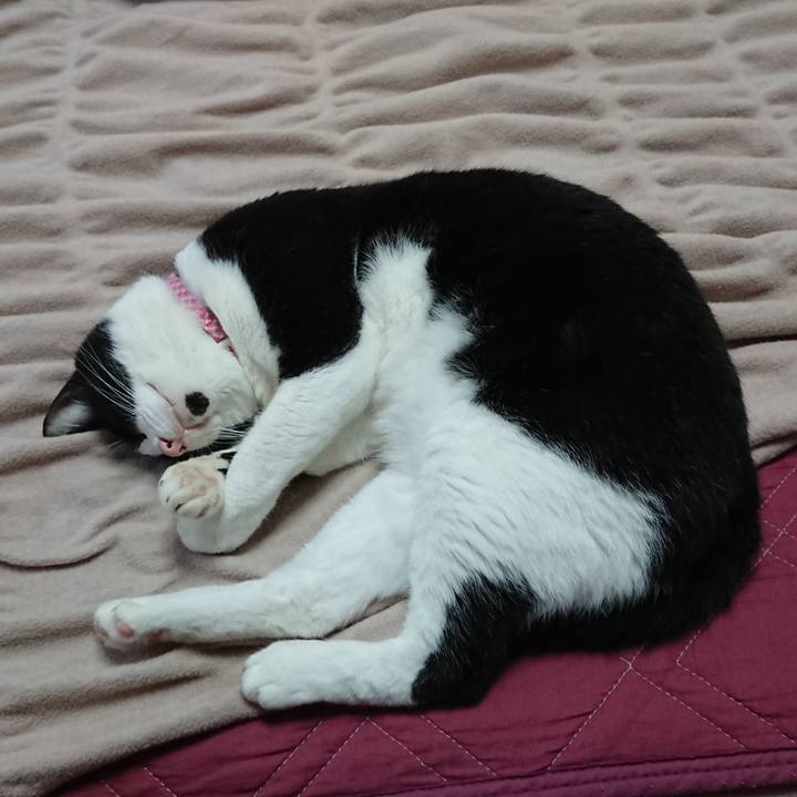 04682bbf f780 4b4a a0fe ac3ec00150c5 1633135446668