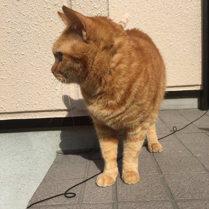 04682bd1 ed9e 4561 b636 267746553696 1510045815507