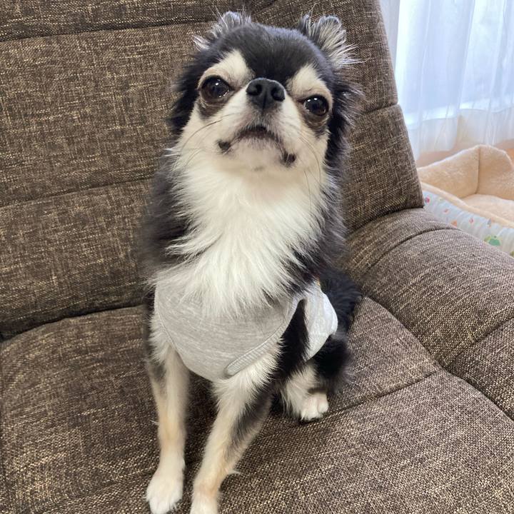 04682da8 62b1 4754 816b 1de8ba3913f4 1699784718835