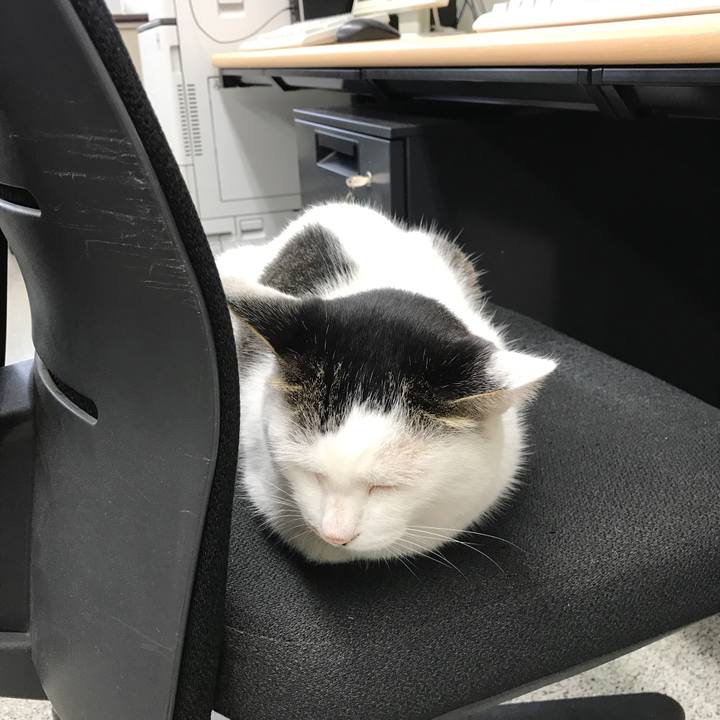 04684f8d 5871 45bf a831 052677c2964b 1533609130691