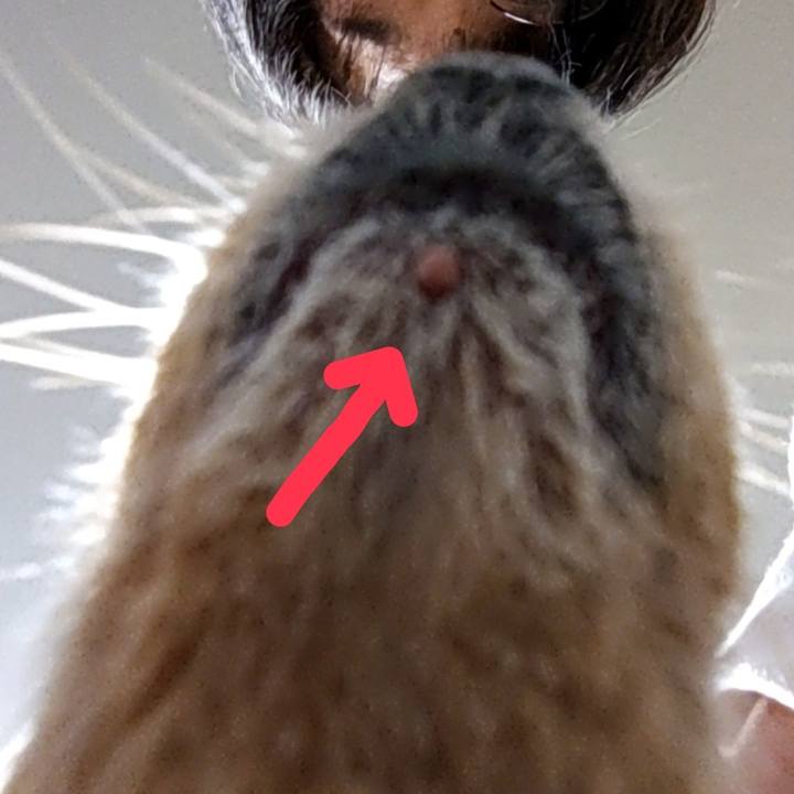 04685d52 e313 4605 9a3c d4cada737bfc 1707988953961