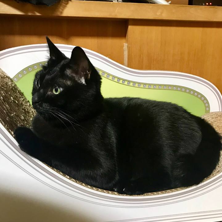 0468b636 7f81 46bb 9922 29d001075ab6 1532353517060