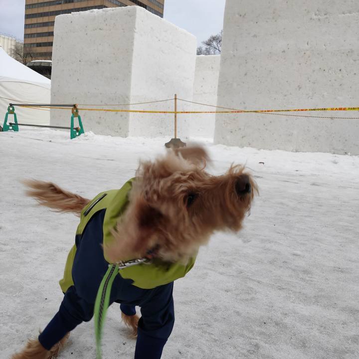 0468cbec 9b7d 4847 8310 f2cd74f2a251 1580517773874