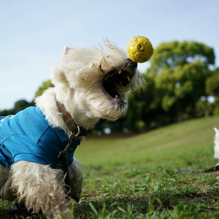 0468cea5 5832 4c8b 9bb9 525623451ab2 1524999605873