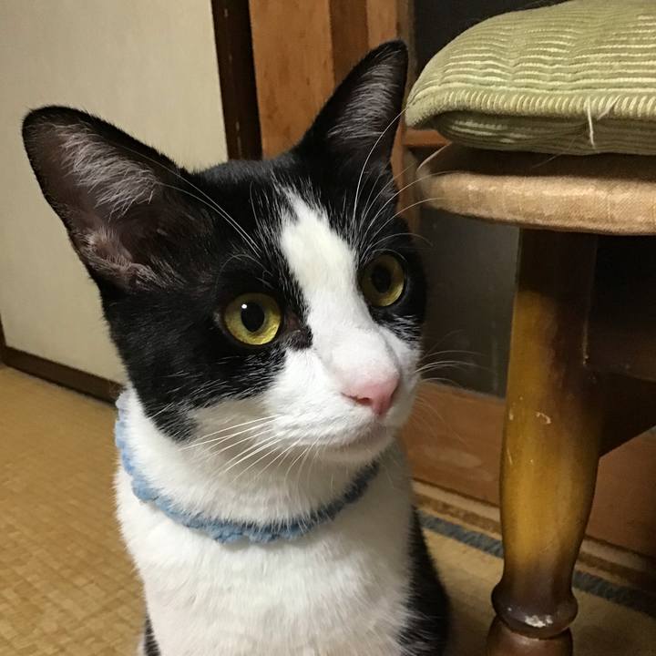 0468f123 e447 4099 bb5c a34132d233a9 1660830353802