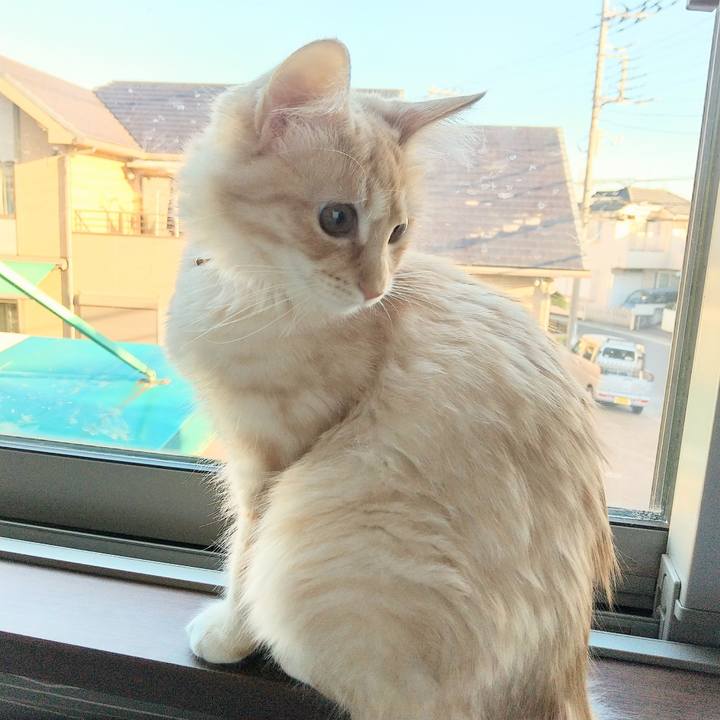 046913e4 a960 4bfd a37f 937bfbf04cfb 1613778187254