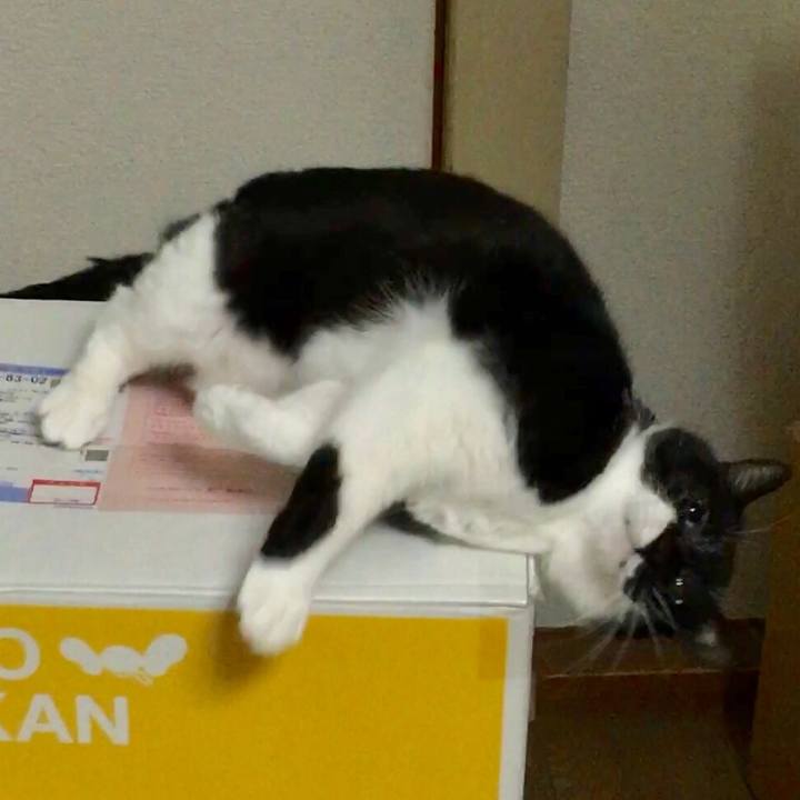 04694ae7 d213 4df8 ad57 ca8136e64278 1550801672335