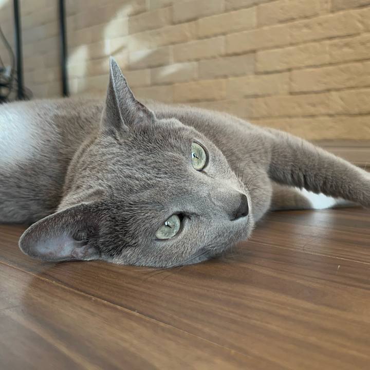 0469954b 7488 43af 8d10 50dde5964070 1740004541764