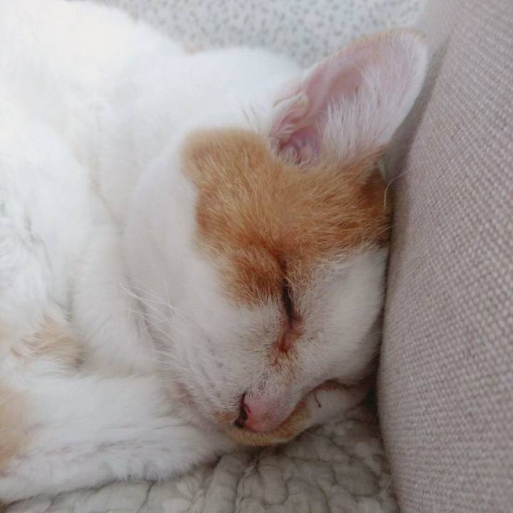 0469a72b af57 4072 9288 0c893caa58d5 1564800611404