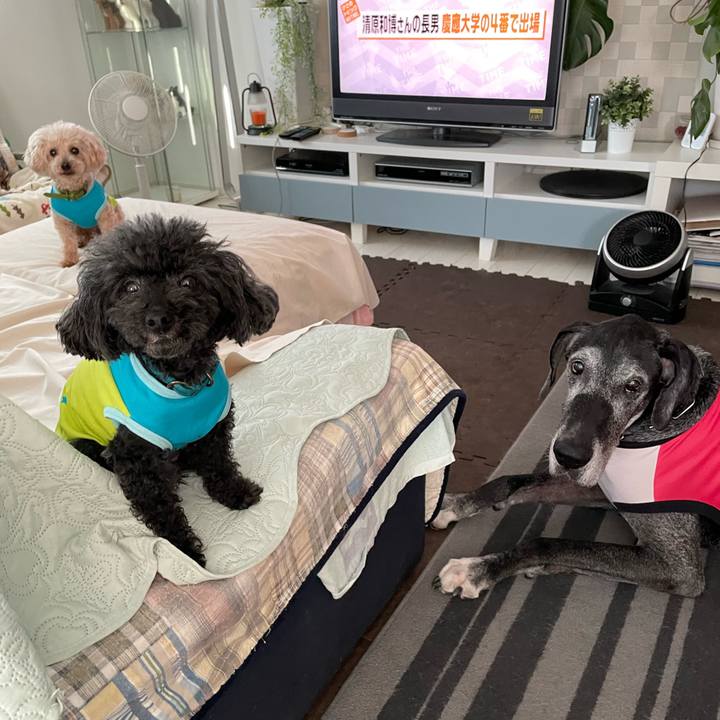 0469a9d1 3256 423d 87cf c1d85eb8fb9b 1654207256174