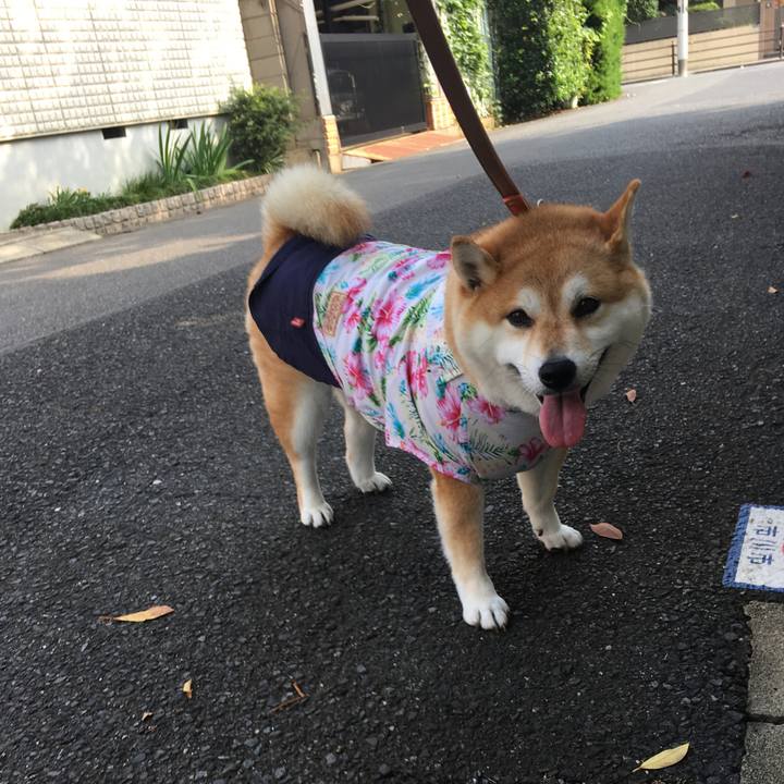 0469abb6 3031 44fa a8c6 ca5c7141545f 1564357644116