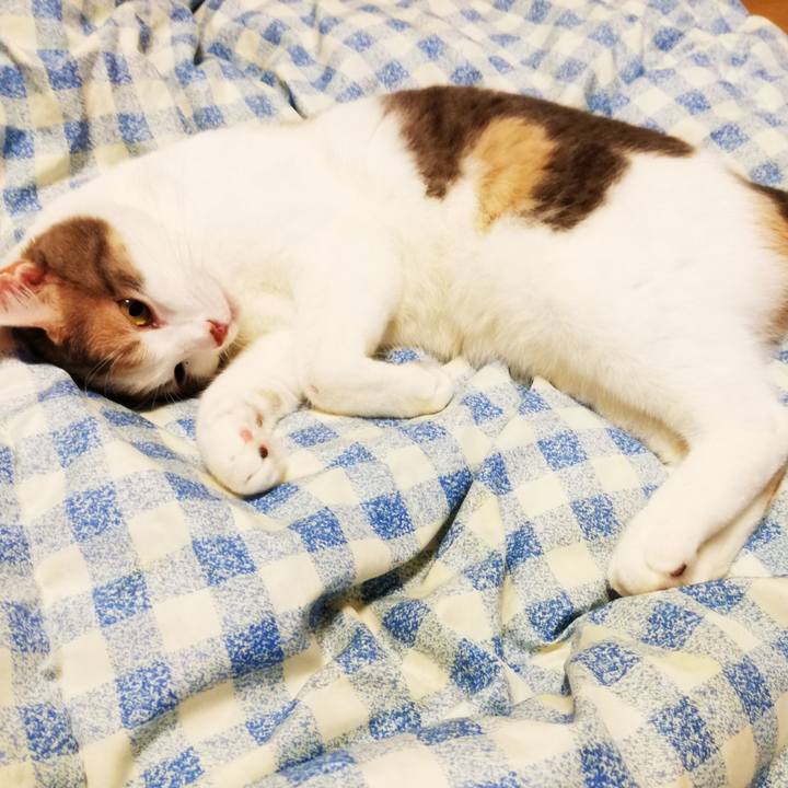 0469e677 fb60 4845 a933 34c88bcc0f5b 1539255791023