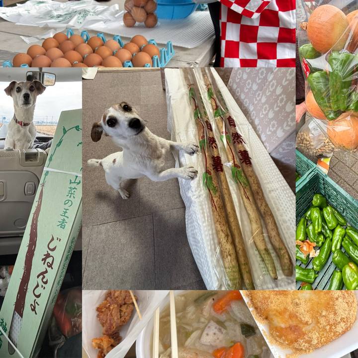 0469f134 67b7 4272 b948 c1aa30c4056d 1766232554457