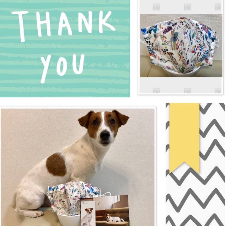 046a09ff c0d0 4f06 b8ed c45c7482b99a 1587731430604