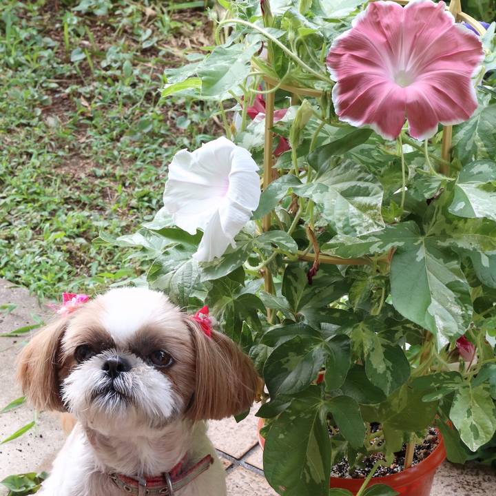 046a0b3a dad5 4c07 9a3f 39b6b14dfc41 1532179715937