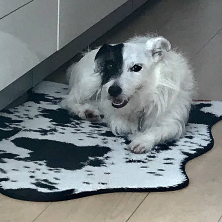 046a15f5 4910 4623 bf7c 4916f889bb0b 1531286297769