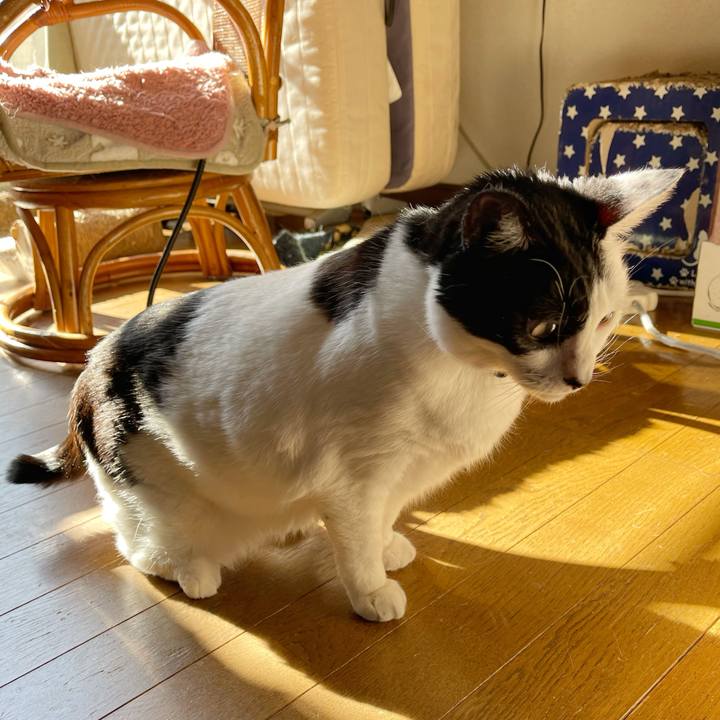 046a4700 88cb 4d9a 86c0 538cc9cdee3e 1768015925244