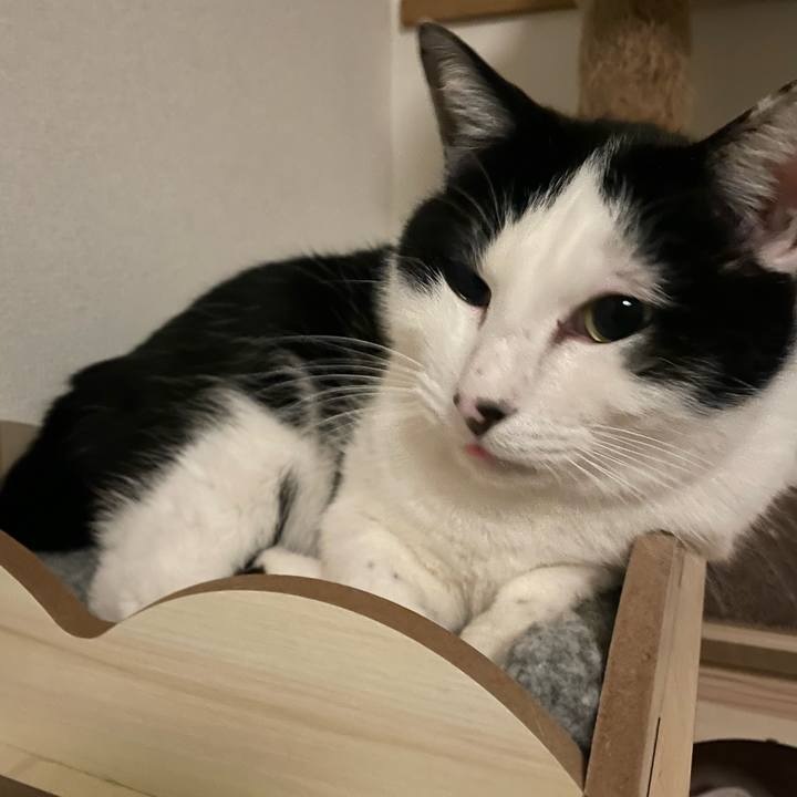 046a687e 608d 4be3 86ea 05eff3f19c08 1674897490036