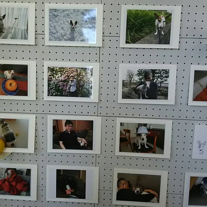 046a8783 96ab 40d4 818a d5ae6301427d 1524240714266