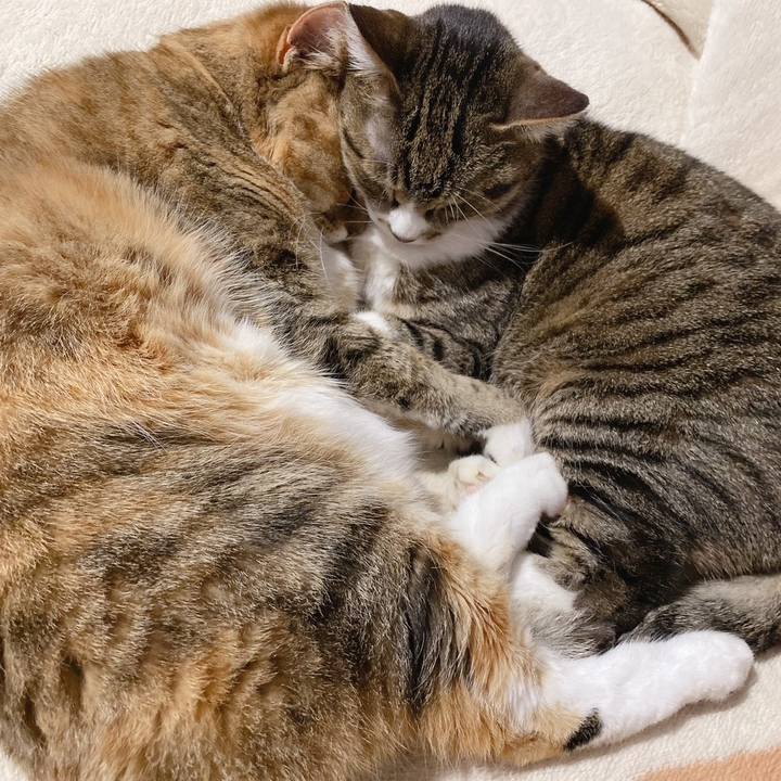 046a9b5f 786c 4ad7 9797 c59223a92178 1681473367272