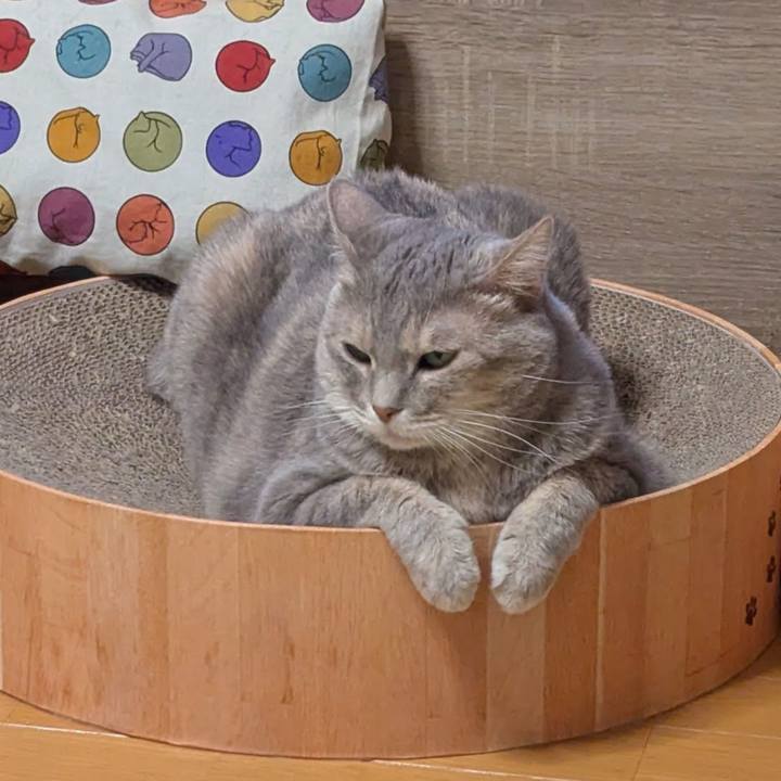 046aa59e 4036 464b ba4c 564e81f56522 1754091968481