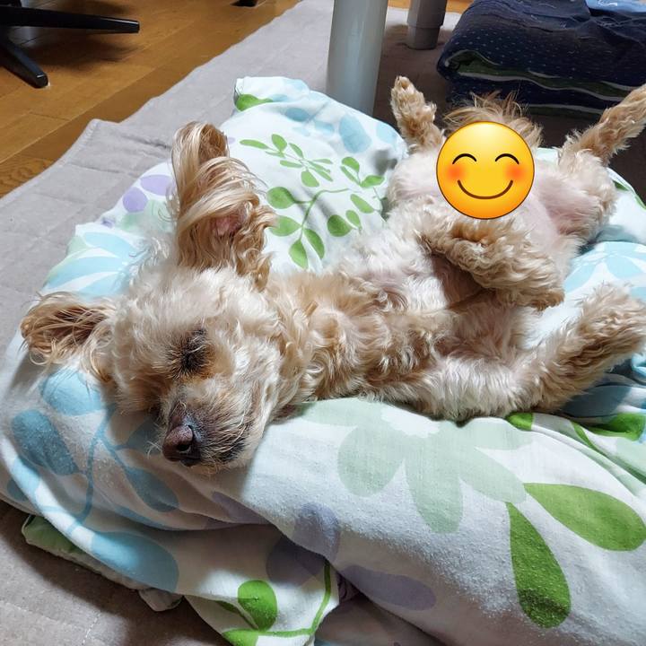 046aaa50 0686 4c7e ae70 3eac707b2e47 1747053746723