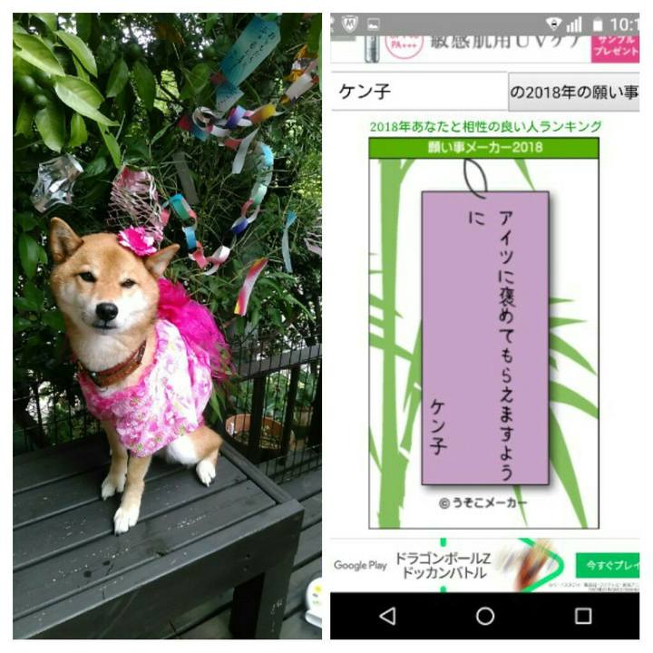 046aba6e 2b34 41d8 8f4f 3c31cd42f89b 1530926298229