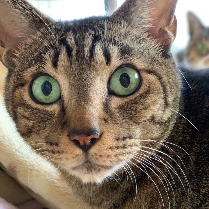 046acfce de6c 4bd7 a585 4f5f5033d43d 1543972945868