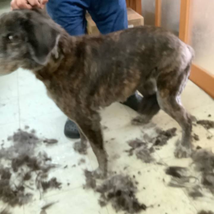 046aee79 87be 43a3 9bf4 e92edb4f3491 1747272964439