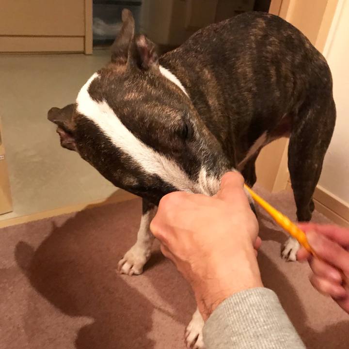 046b1226 58d5 4765 9370 3dbb8bc7f1e3 1517226960168