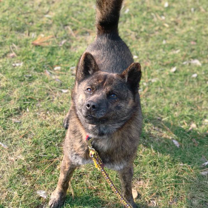 046b1c3b 0ee5 41b9 b31e 2e3c2c72ae94 1521974346133