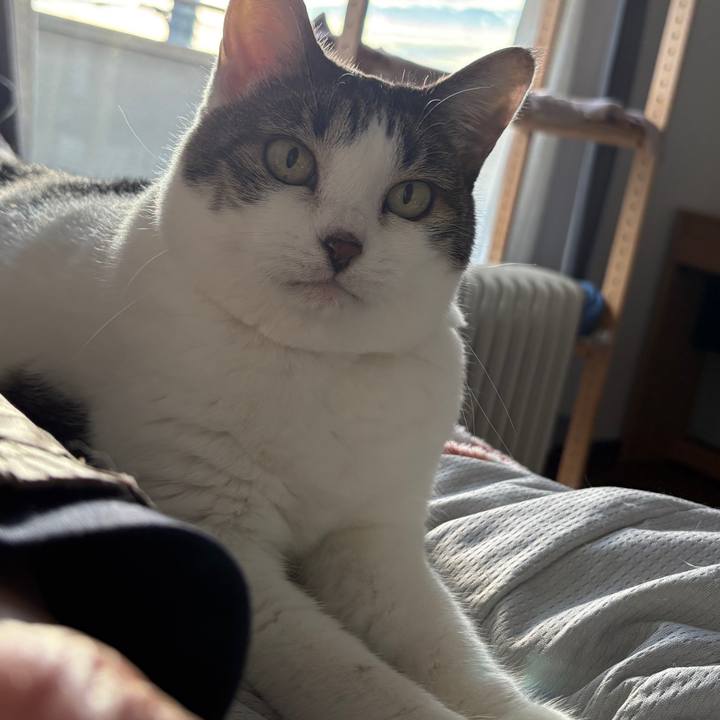 046b1dc9 77bd 4a41 a042 b29cd3b4fa00 1762065819081