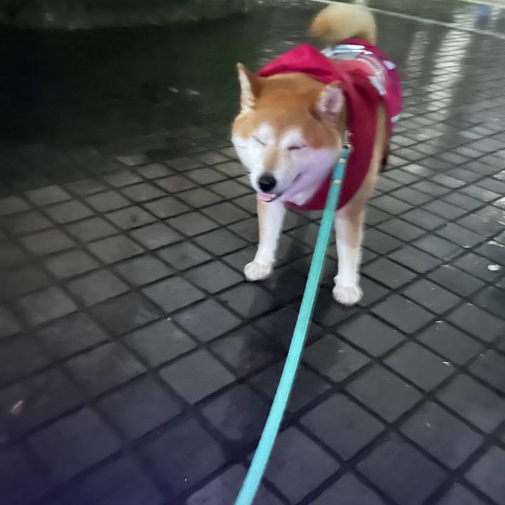 046b465e 3fea 4a23 bdd8 3540d4e9fc15 1722423351786