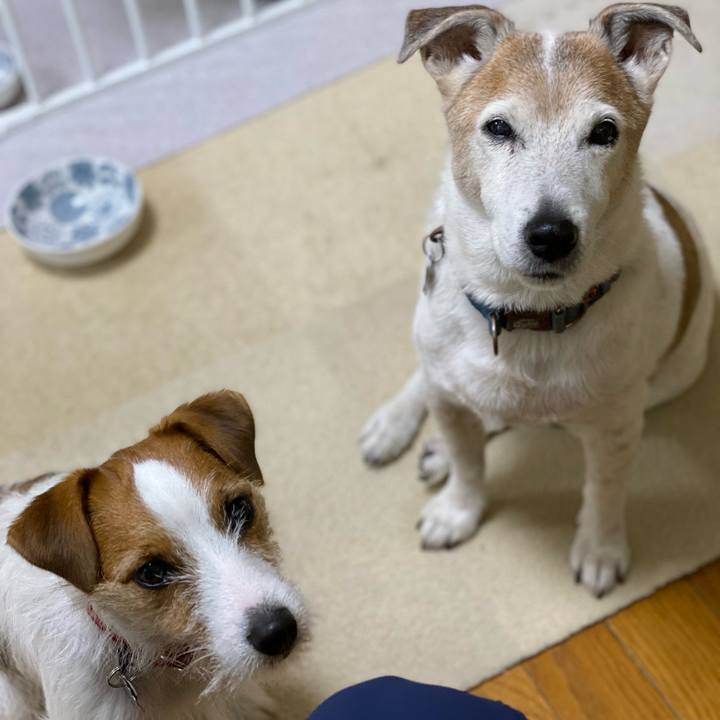 046b5b03 4584 4fbc 9250 670306da87fd 1648683051055