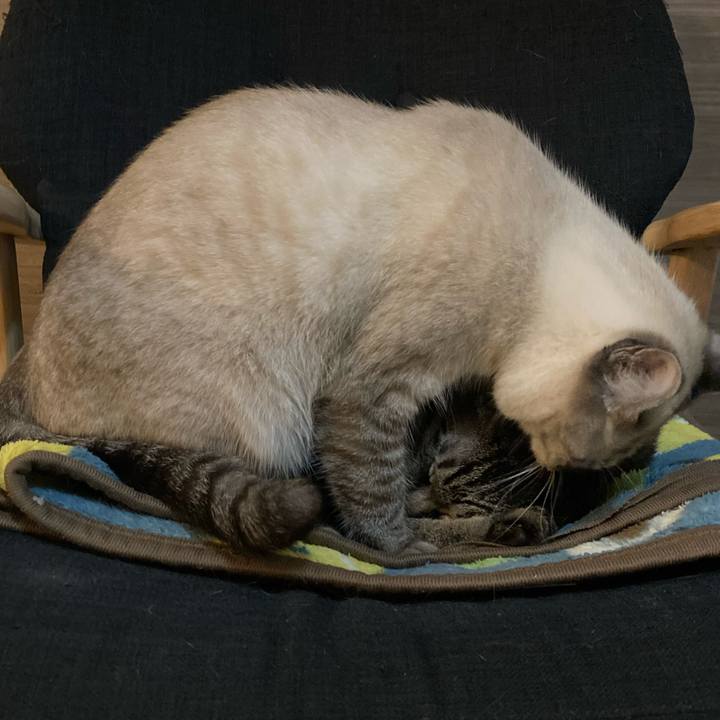 046b5c15 9e90 47b7 8535 2f471536ada3 1630919874166