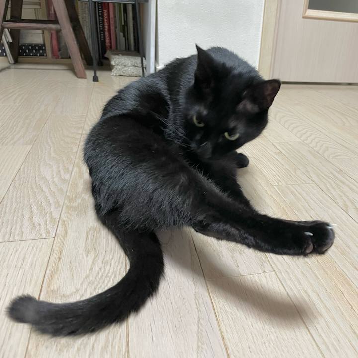 046badfe 6f08 4810 ab33 11249431b62f 1649768202405