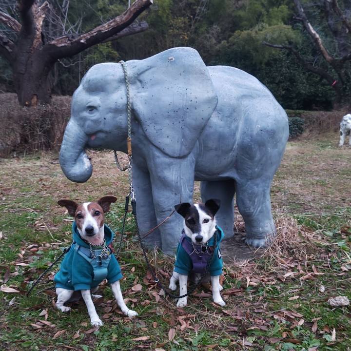 046c06e4 9eda 46ca 95cf c835f61f1820 1766222277468