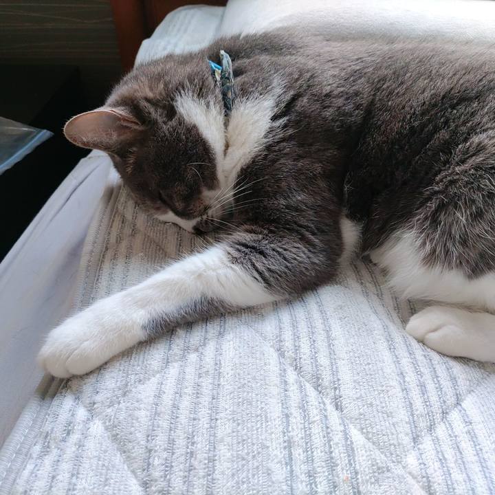 046c3404 7b11 4f74 94b8 2281938d1958 1716189814613