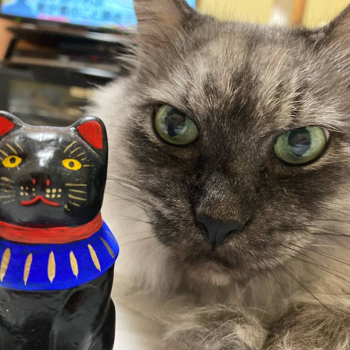 046c3576 2eb6 452c aad8 e394b1570878 1719744916183