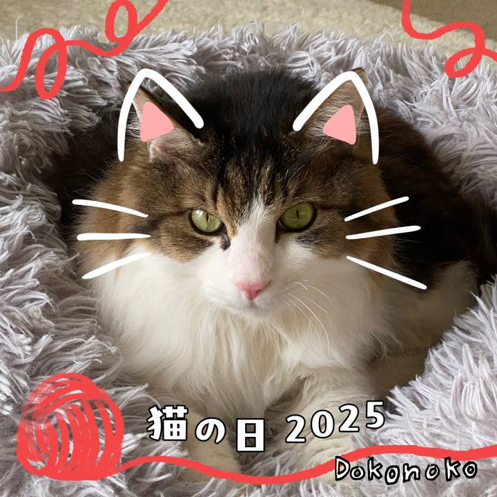 046c38b6 7d80 4709 aa8c e862304bf036 1740125076789