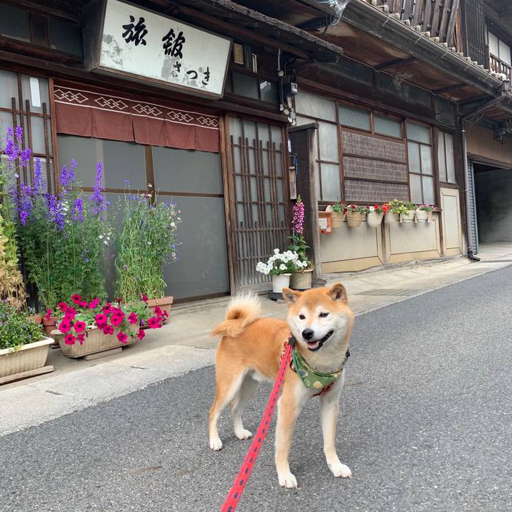 046c399c 8090 4d7a 92c4 78a20ef5f572 1591182804360