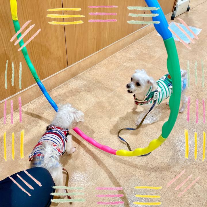 046c5cae 467f 4183 a0fd 8e4ba6ca82b6 1638002435965