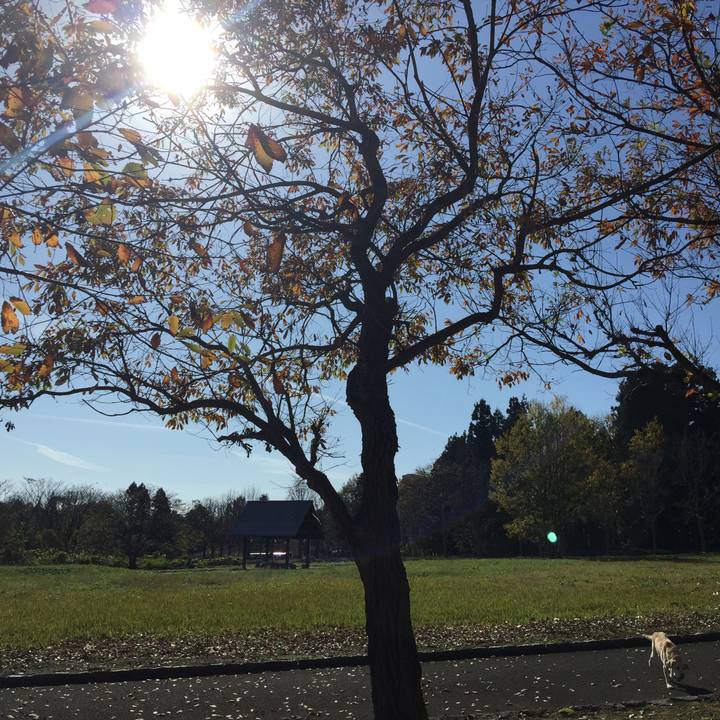 046c6611 f707 46ac ba37 a13515e5ddff 1569386916131