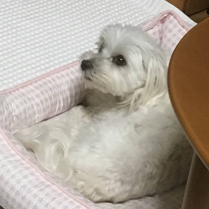 046ca966 172f 4cc2 adc2 fac9fc0f953c 1529933579593