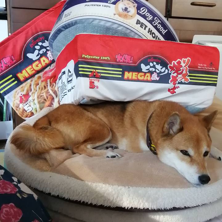 046cc49b 420d 4f5f a2aa f677afbde0ce 1606103486299