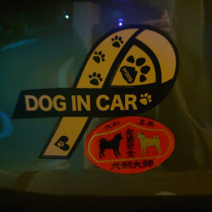 046ccd74 6fe9 471e a668 39a15db510ac 1766116696730