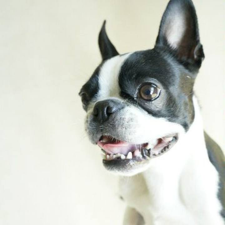 046d0a49 26b1 4dfb b379 d332132c9dd6 1553487045072