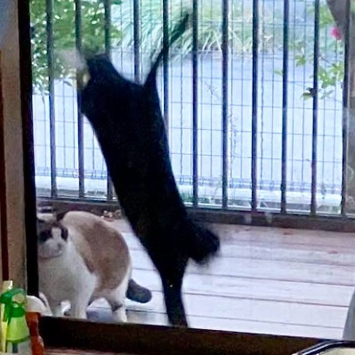 046d235b 4ada 4f1e 87e0 13542adce167 1737028912405