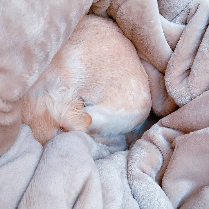 046d2f69 c566 443b 861d 85f26a725b0d 1612926767329