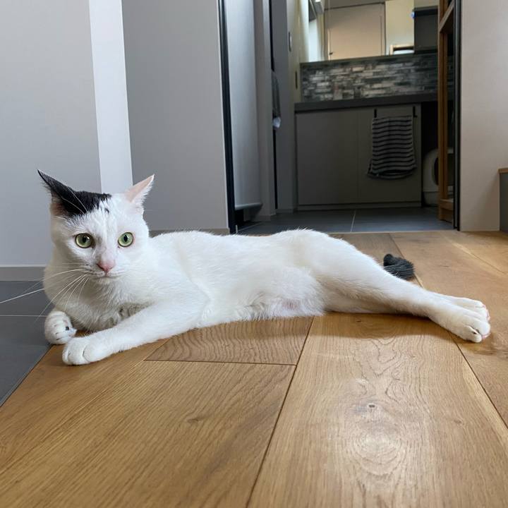 046d39f3 1a6d 4175 8cd2 09247e4d027e 1752400883332